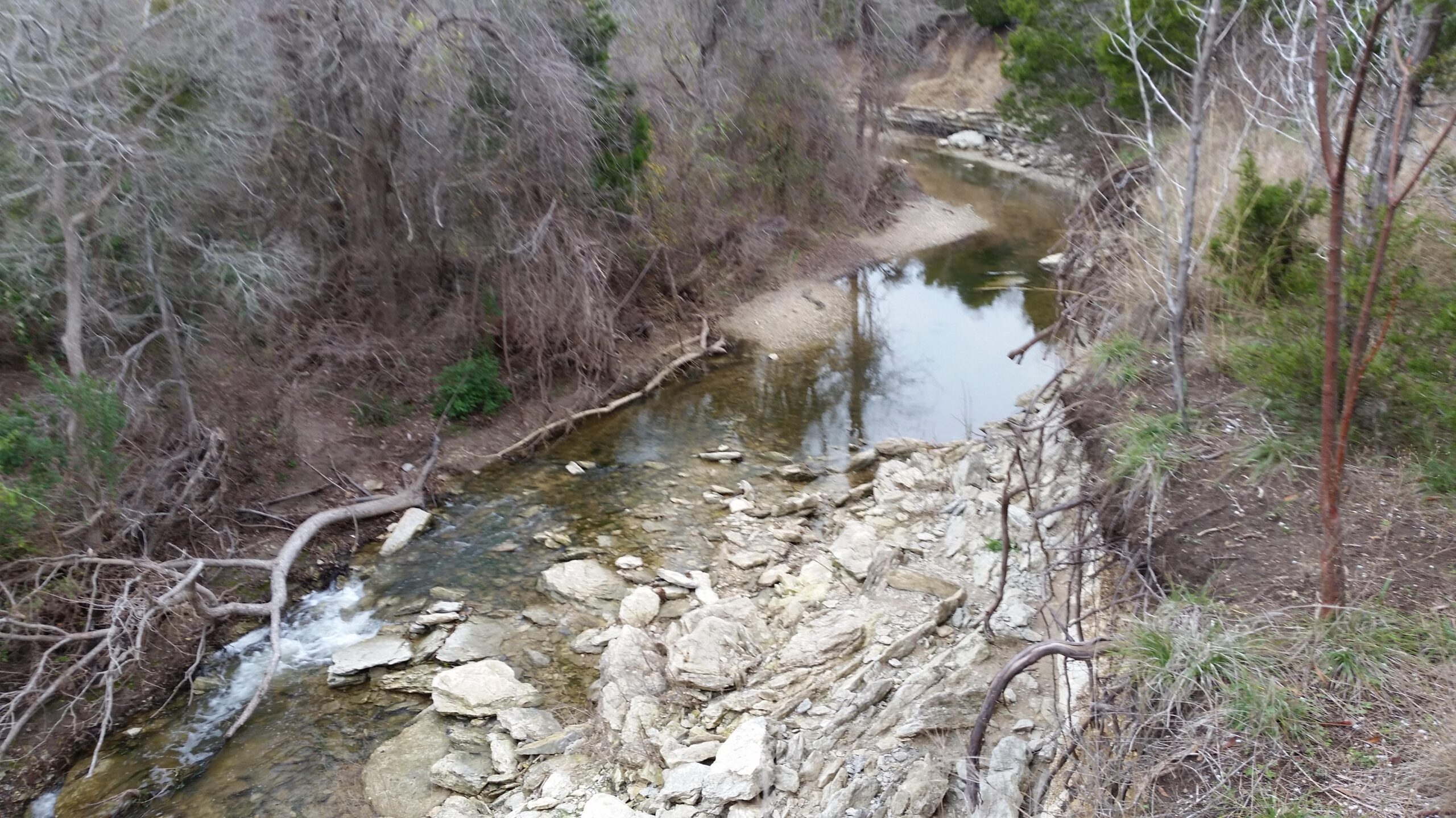 A peaceful river winding through a wooded area, featuring rocky banks and scattered trees. The water is calm, reflecting the surrounding foliage, with patches of sandy shore visible along the banks. Walnut Creek Trails mountain bike trail.