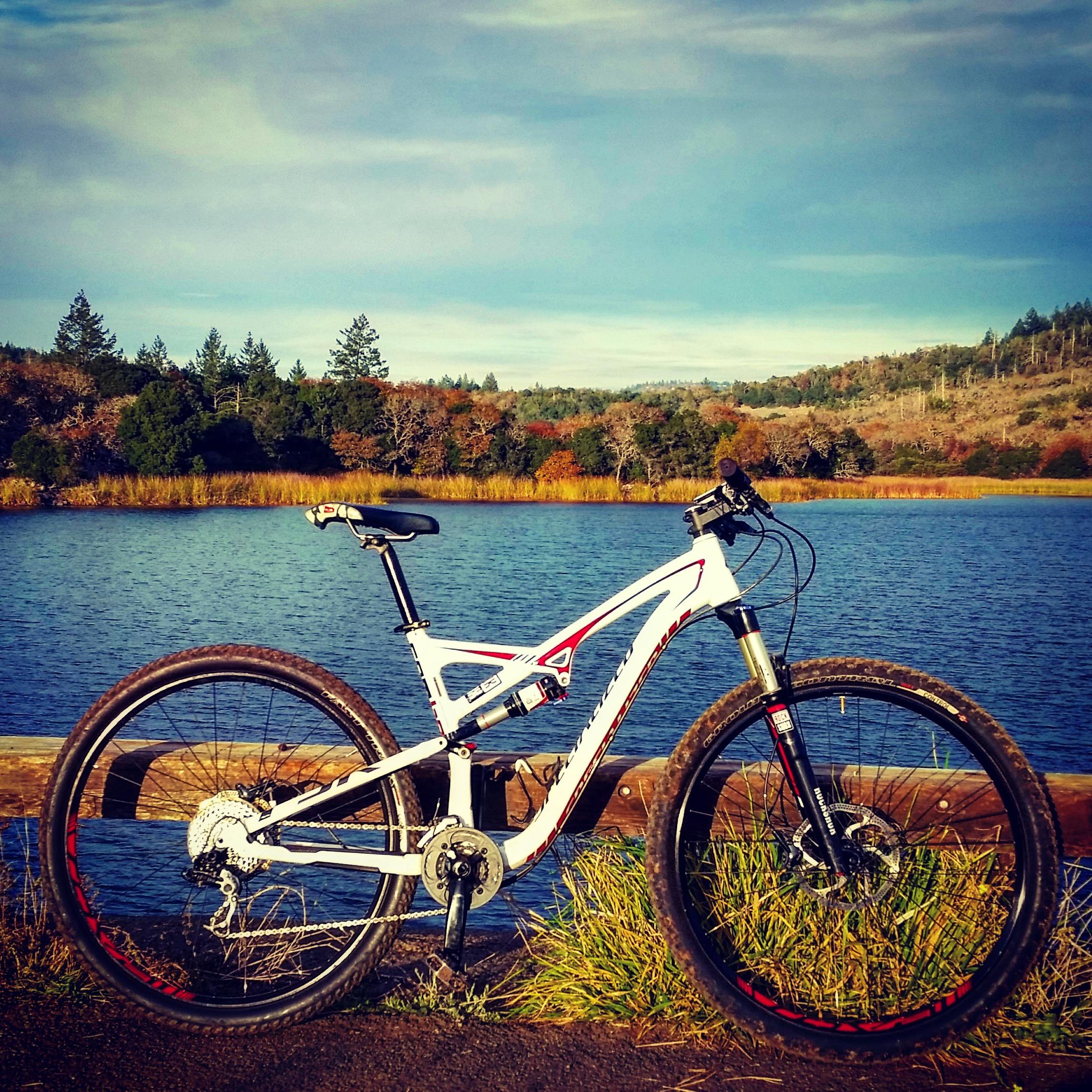 Specialized Camber Comp 29: A mountain bike with white and red accents is positioned against a scenic lake backdrop. The bike is leaning on a wooden railing, with vibrant green grass and autumn-colored trees in the distance under a partly cloudy sky.