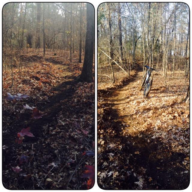 A split image showing two views of a forest trail. The left side features a dirt path covered in autumn leaves with trees in the background, while the right side displays a clearer, maintained path with a bicycle leaning against a tree. The lighting suggests a sunny day with a warm, inviting atmosphere. Bringle Lake Mountain Bike Trail System mountain bike trail.
