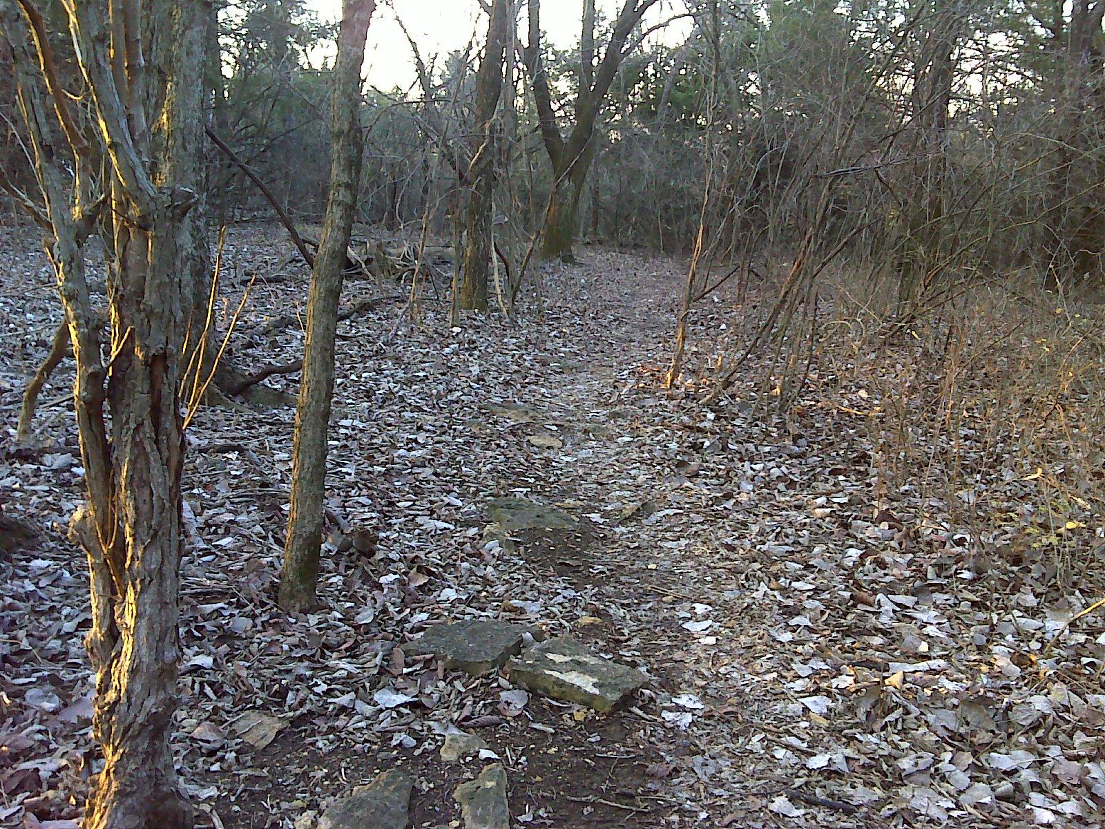 A narrow dirt path winding through a forested area, surrounded by bare trees and scattered leaves. The ground features some exposed stones, and the scene is illuminated by soft, natural light, suggesting early morning or late afternoon. Lehigh Portland Trails mountain bike trail.