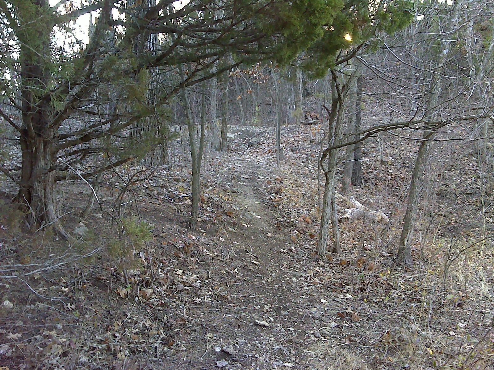 A narrow dirt path winding through a forested area, surrounded by trees and scattered autumn leaves on the ground. The scene captures a quiet, natural setting with a mix of greenery and bare branches. Lehigh Portland Trails mountain bike trail.