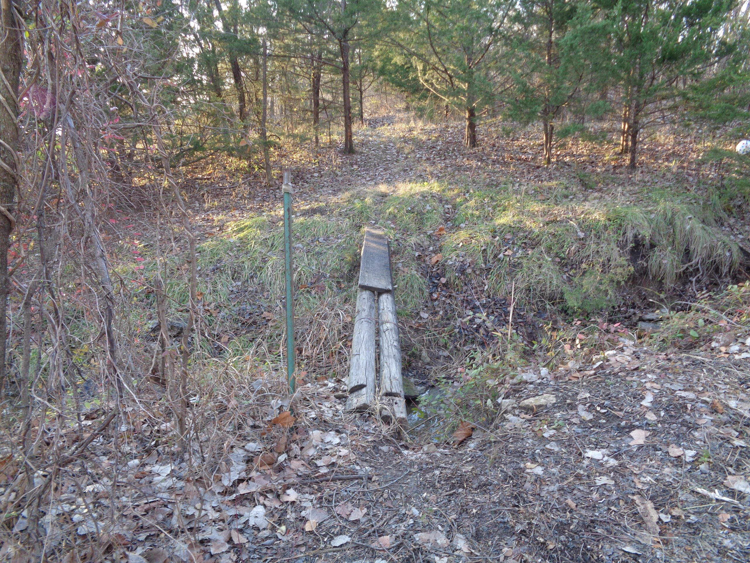A makeshift wooden bridge crosses a small creek in a wooded area, surrounded by trees and fallen leaves. The path leading to the bridge is partially overgrown with grass and shrubs. Lehigh Portland Trails mountain bike trail.