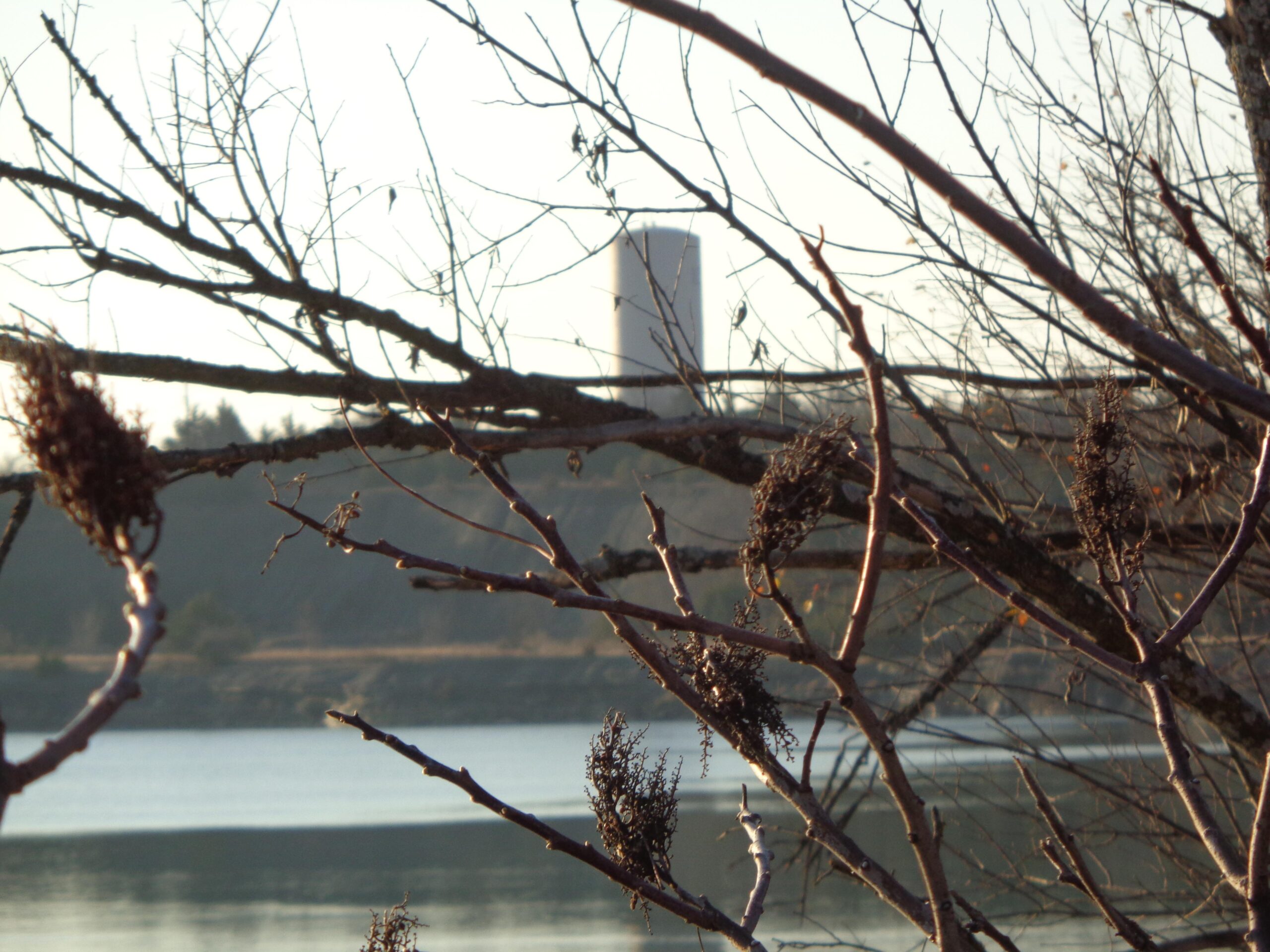 A calm body of water is framed by bare branches in the foreground, with a tall cylindrical structure visible in the background. The scene is set against a softly lit sky, suggesting early morning or late afternoon light. Lehigh Portland Trails mountain bike trail.