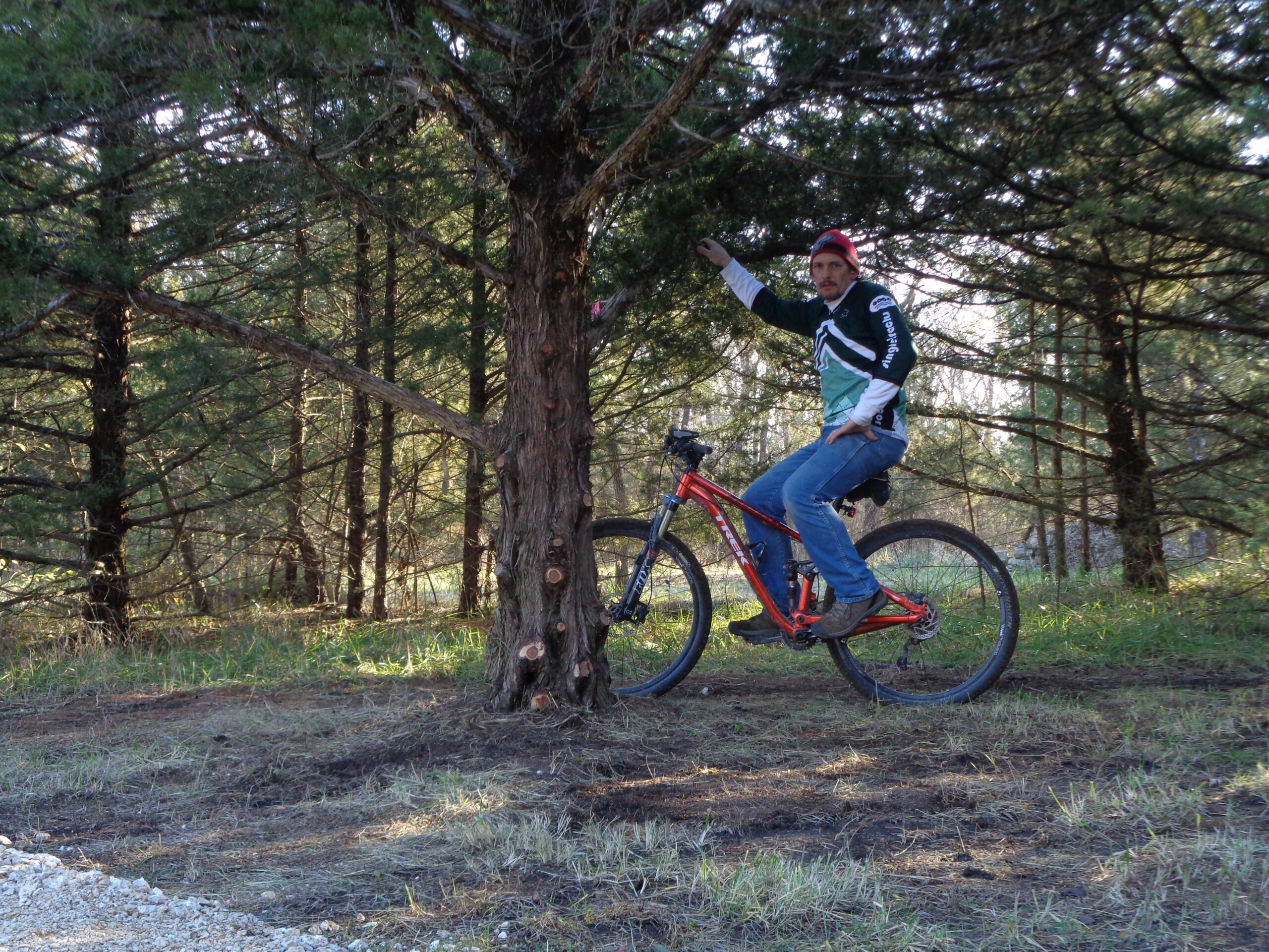 A person riding a mountain bike is leaning against a tree in a forested area, surrounded by tall evergreen trees. The individual is wearing a black and green cycling jersey and a red cap. The ground is a mix of grass and dirt, with some gravel visible nearby. The scene is illuminated by natural light, creating a serene outdoor atmosphere. Lehigh Portland Trails mountain bike trail.
