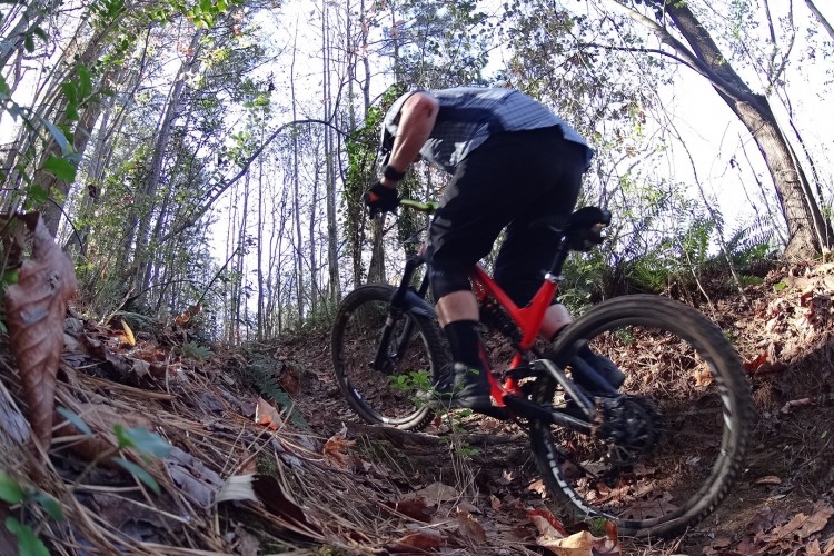 A mountain biker ascends a narrow, leafy trail in a wooded area. The cyclist is wearing a helmet and protective gear, with a focus on the bike's bright red frame. The scene captures the lush greenery of trees and ferns, scattered fallen leaves, and dappled sunlight filtering through the branches.
