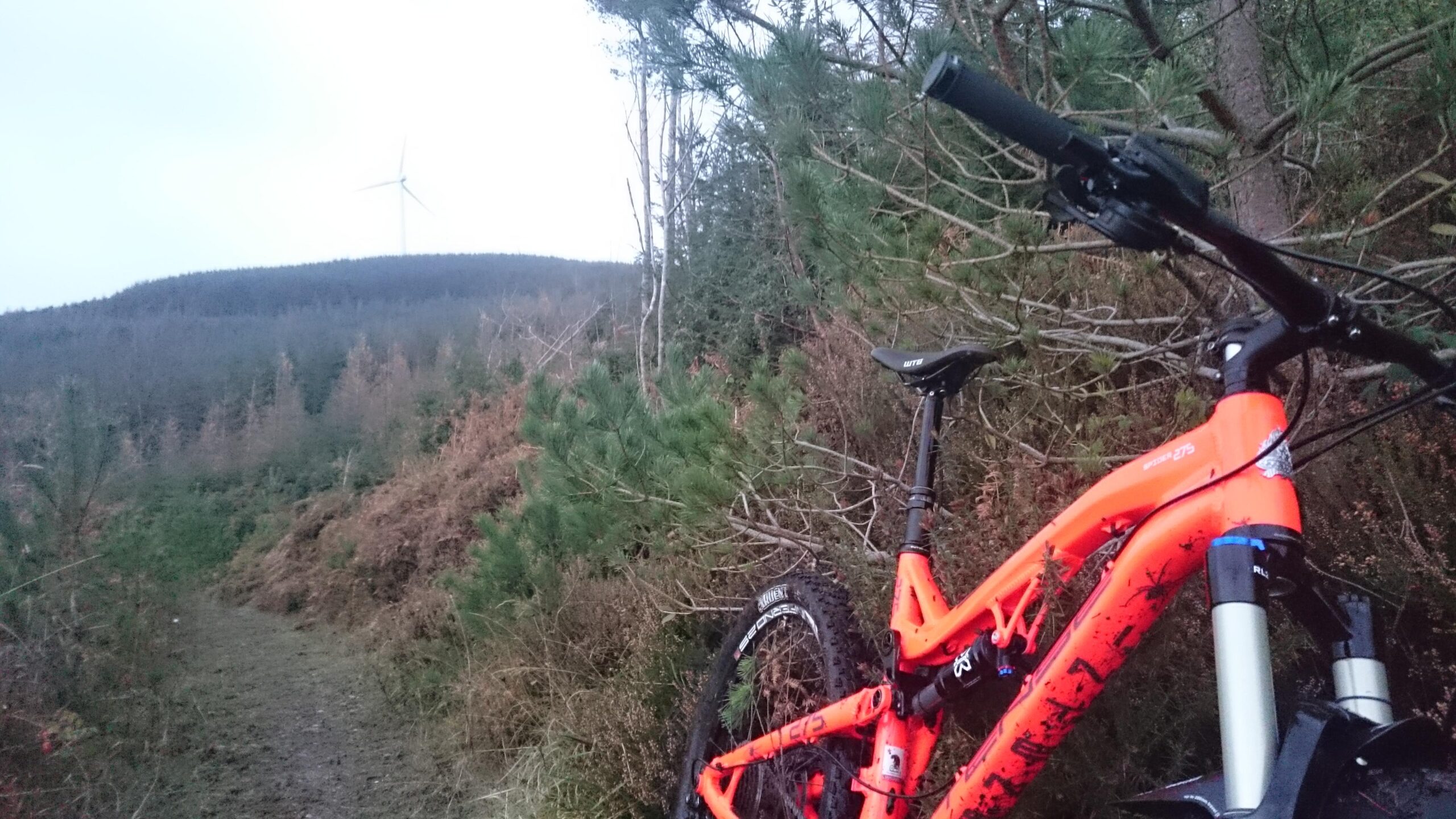 Intense Spider 275: A vibrant orange mountain bike parked on a forest trail, with a backdrop of trees and a distant wind turbine on a hillside under a cloudy sky.