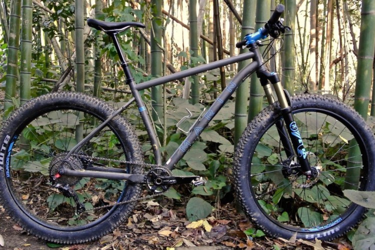 A mountain bike with a sleek gray frame and wide, knobby tires is positioned against a backdrop of tall bamboo and lush greenery. The bike features smooth black and blue accents, prominently displaying the brand name. The scene captures the essence of outdoor adventure and cycling in a natural setting.