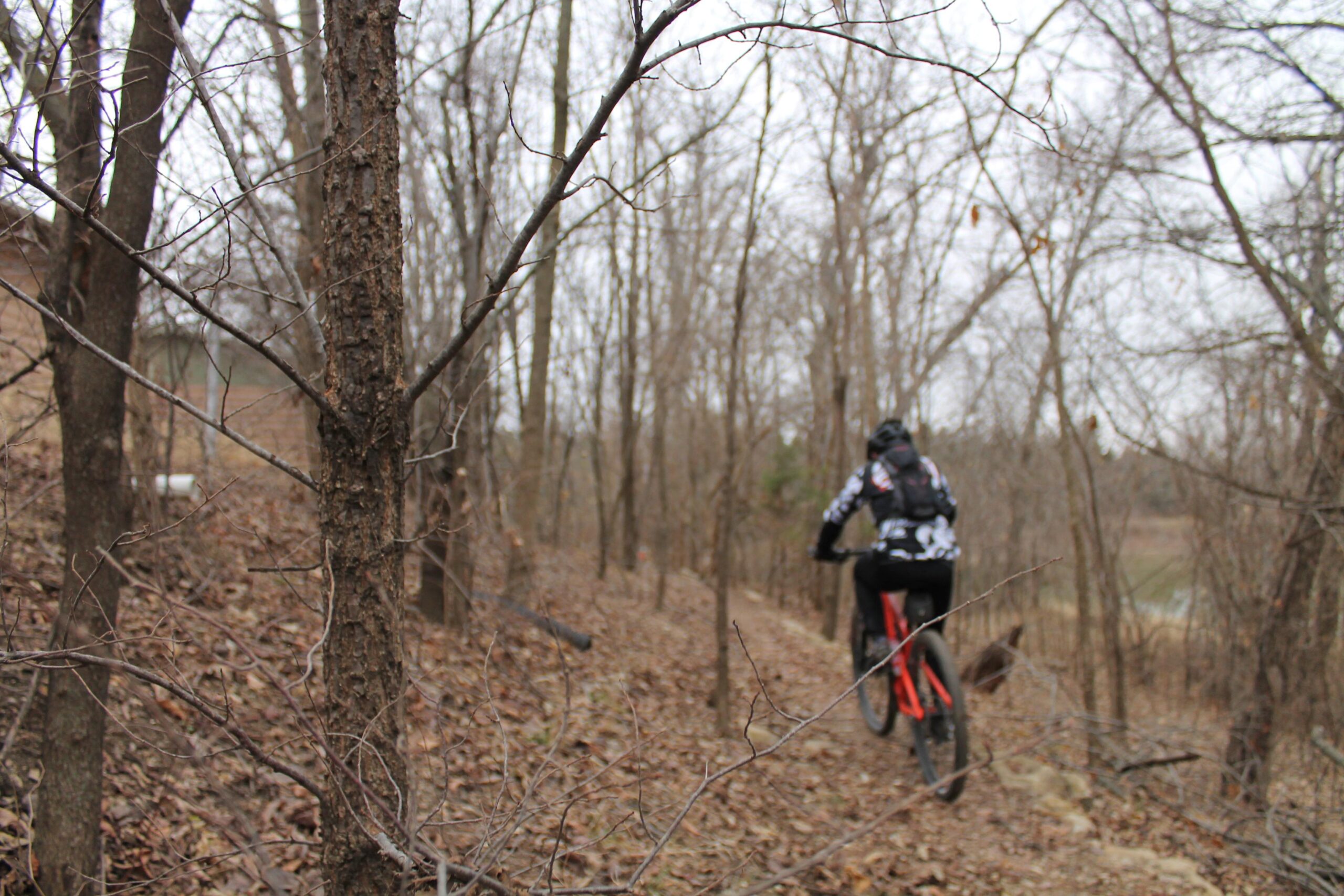 A person riding a mountain bike along a narrow trail in a wooded area, surrounded by bare trees and fallen leaves on the ground, under a cloudy sky. Camp Alexander Trails mountain bike trail.