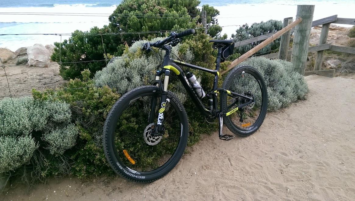 Giant Anthem: A mountain bike leaned against a shrub near a sandy path, with a beach and ocean in the background. The bike features black and yellow accents, a water bottle holder, and wide tires suitable for rugged terrain.