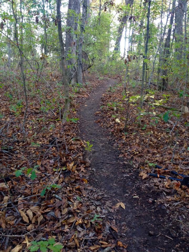 A narrow dirt path winding through a wooded area, lined with fallen leaves and surrounded by green trees and underbrush. Soft sunlight filters through the foliage, creating a serene natural setting. Bringle Lake Mountain Bike Trail System mountain bike trail.