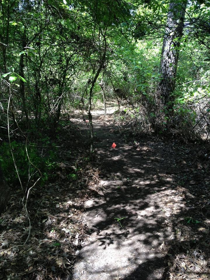 A narrow dirt path winding through a lush, green forest, surrounded by dense foliage and trees, with dappled sunlight filtering through the leaves. A small orange flag is visible on the path. Bringle Lake Mountain Bike Trail System mountain bike trail.