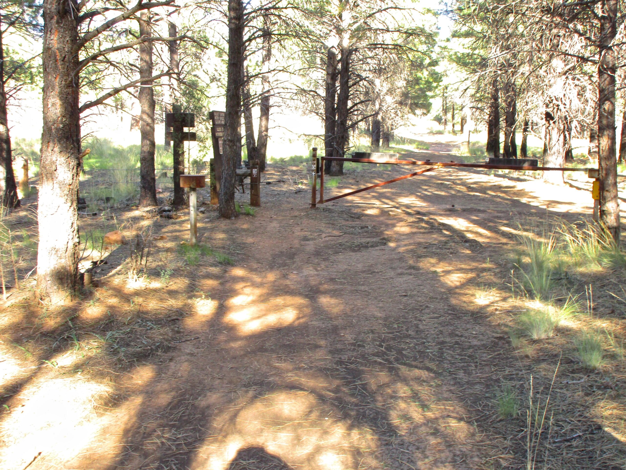 A dirt path leading into a forest, blocked by a rusted metal gate. Surrounding trees cast dappled shadows on the ground, and wooden signs are visible near the path. The scene is bright and natural, highlighting the lush greenery and sunlight filtering through the branches. Fisher Point Overlook Trail mountain bike trail.