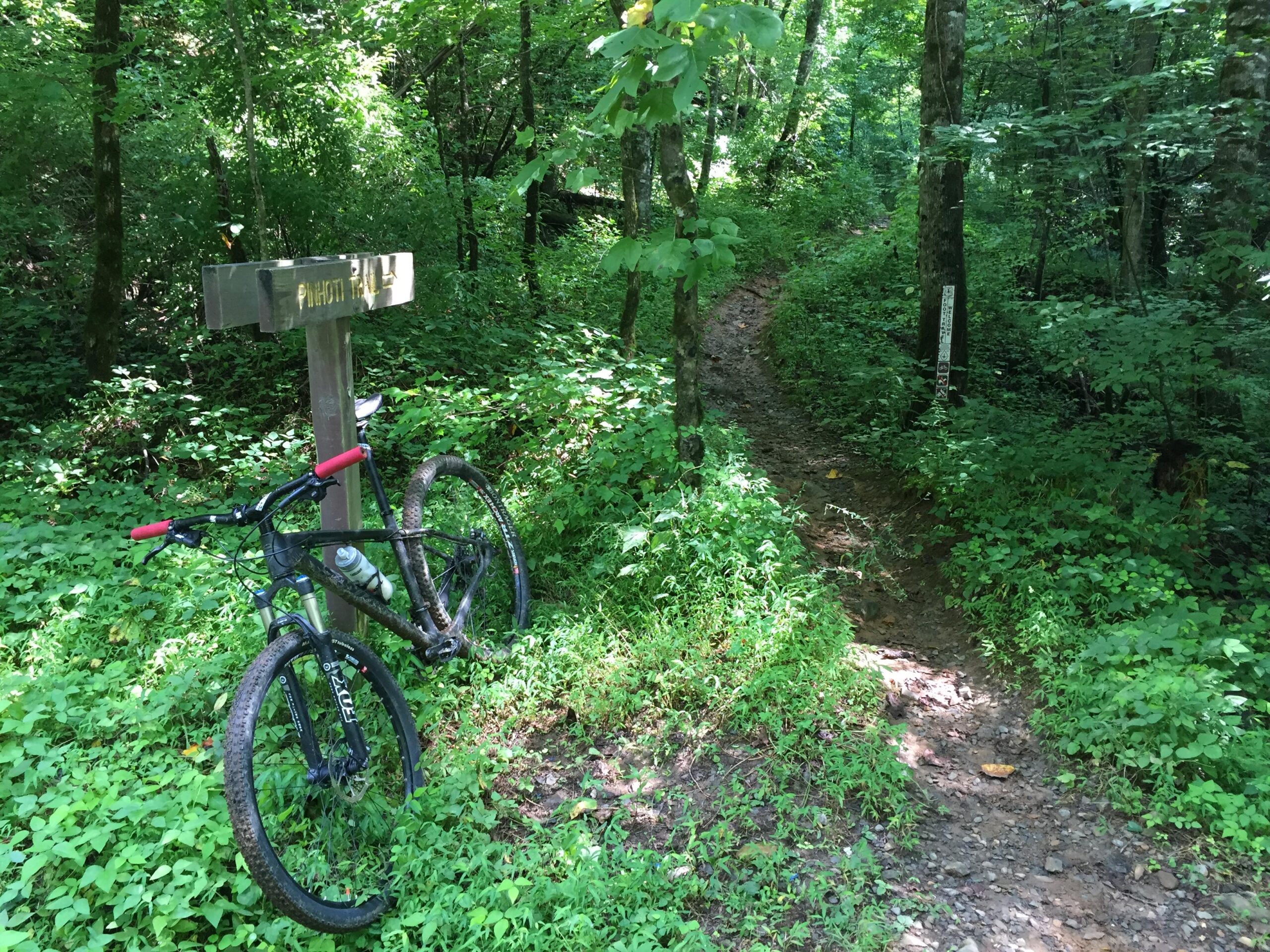 A mountain bike with red handlebar grips is resting against a wooden trail sign labeled "Pinhoti Trail," surrounded by lush greenery in a forested area. A narrow dirt path winds into the woods, partially obscured by foliage. Pinhoti Trail: P3 mountain bike trail.