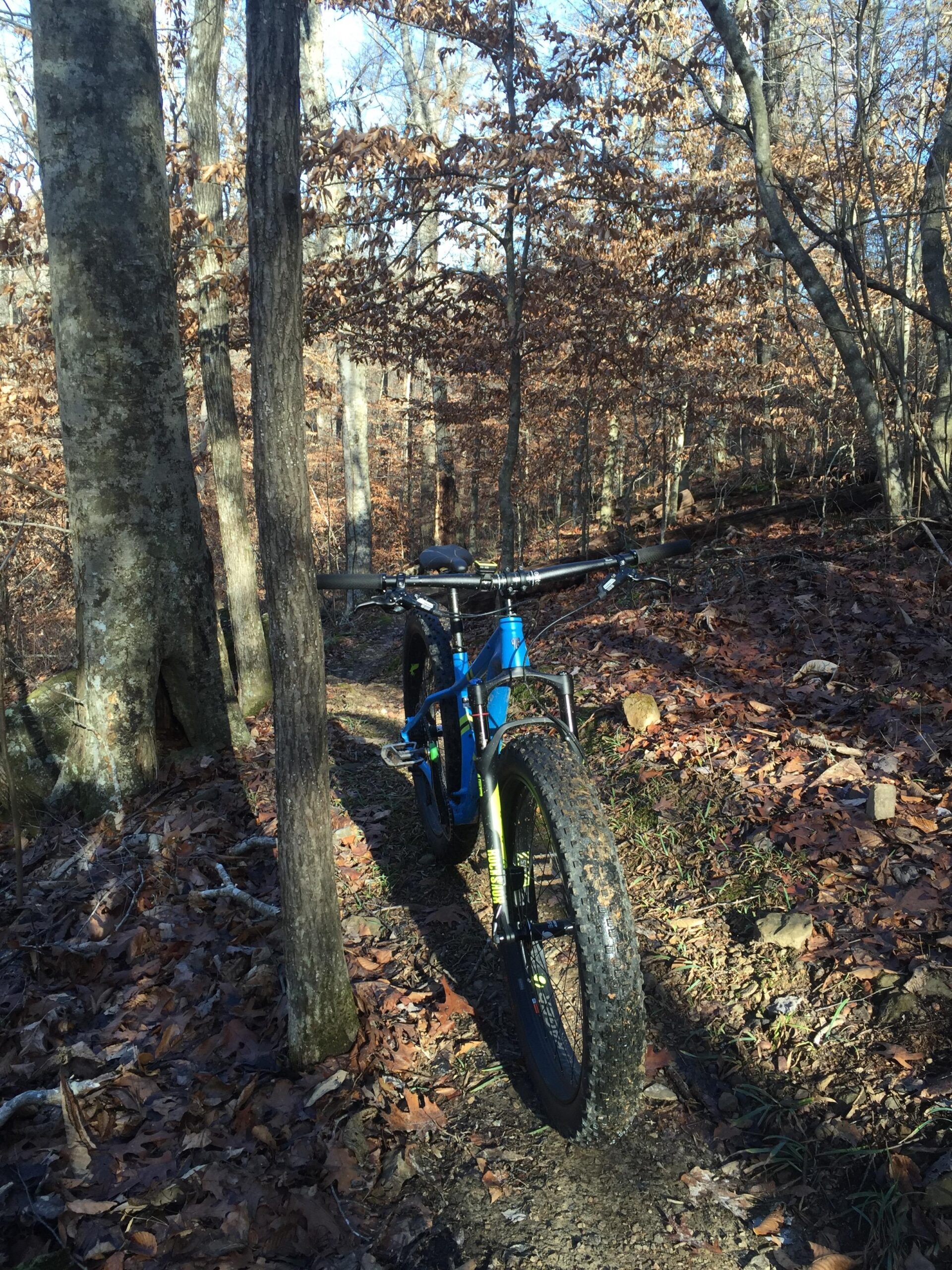 A blue fat tire mountain bike parked on a dirt trail in a forest. The path is surrounded by trees with brown leaves, indicating autumn, and the ground is covered with fallen leaves and some exposed soil. Sunlight filters through the trees, creating a serene outdoor atmosphere. Upper Buffalo Headwaters Trail System mountain bike trail.