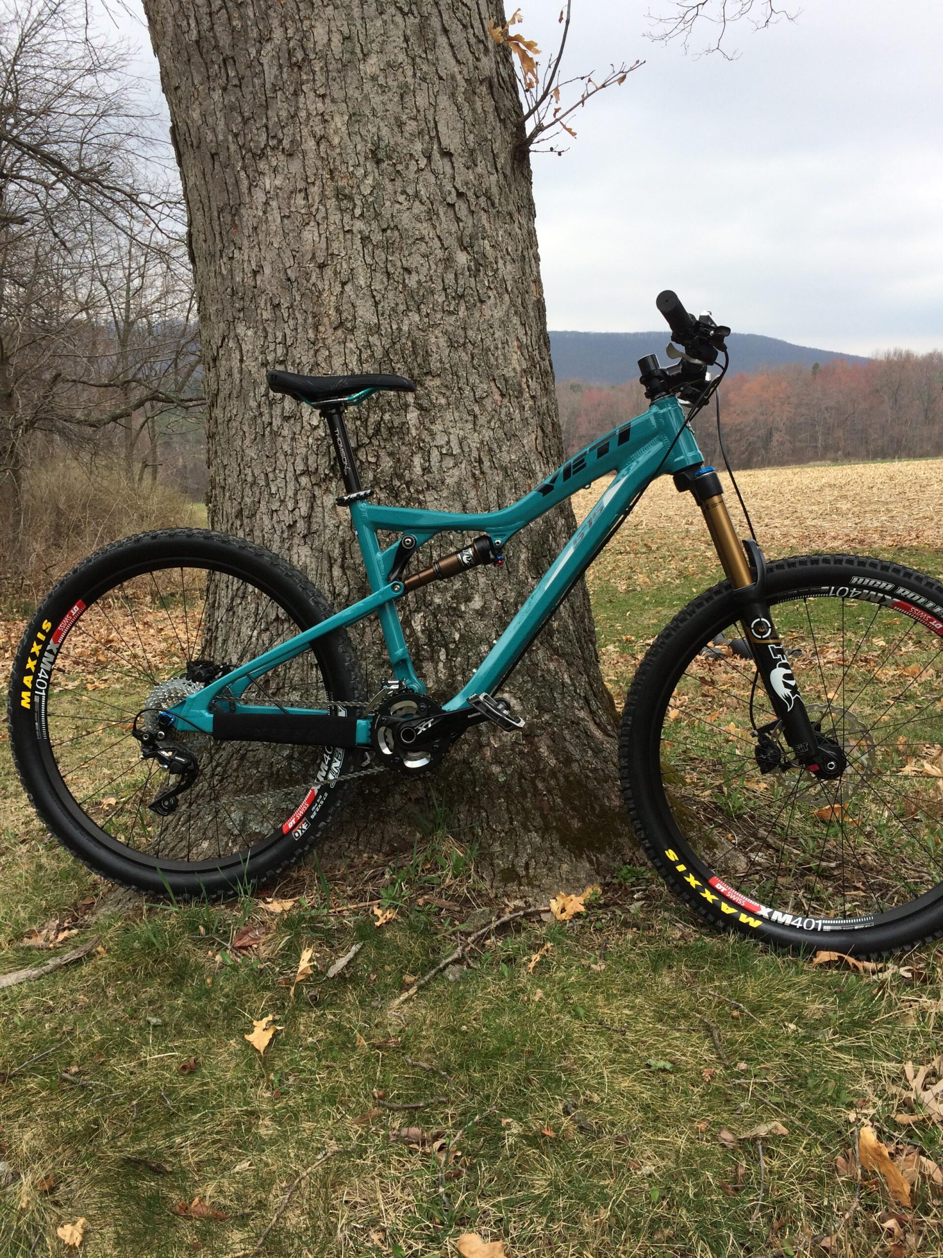 Yeti 575: A turquoise mountain bike resting against a large tree trunk, with a backdrop of a cloudy sky and fields in the distance. The bike features thick tires and is positioned on grassy ground with scattered leaves.