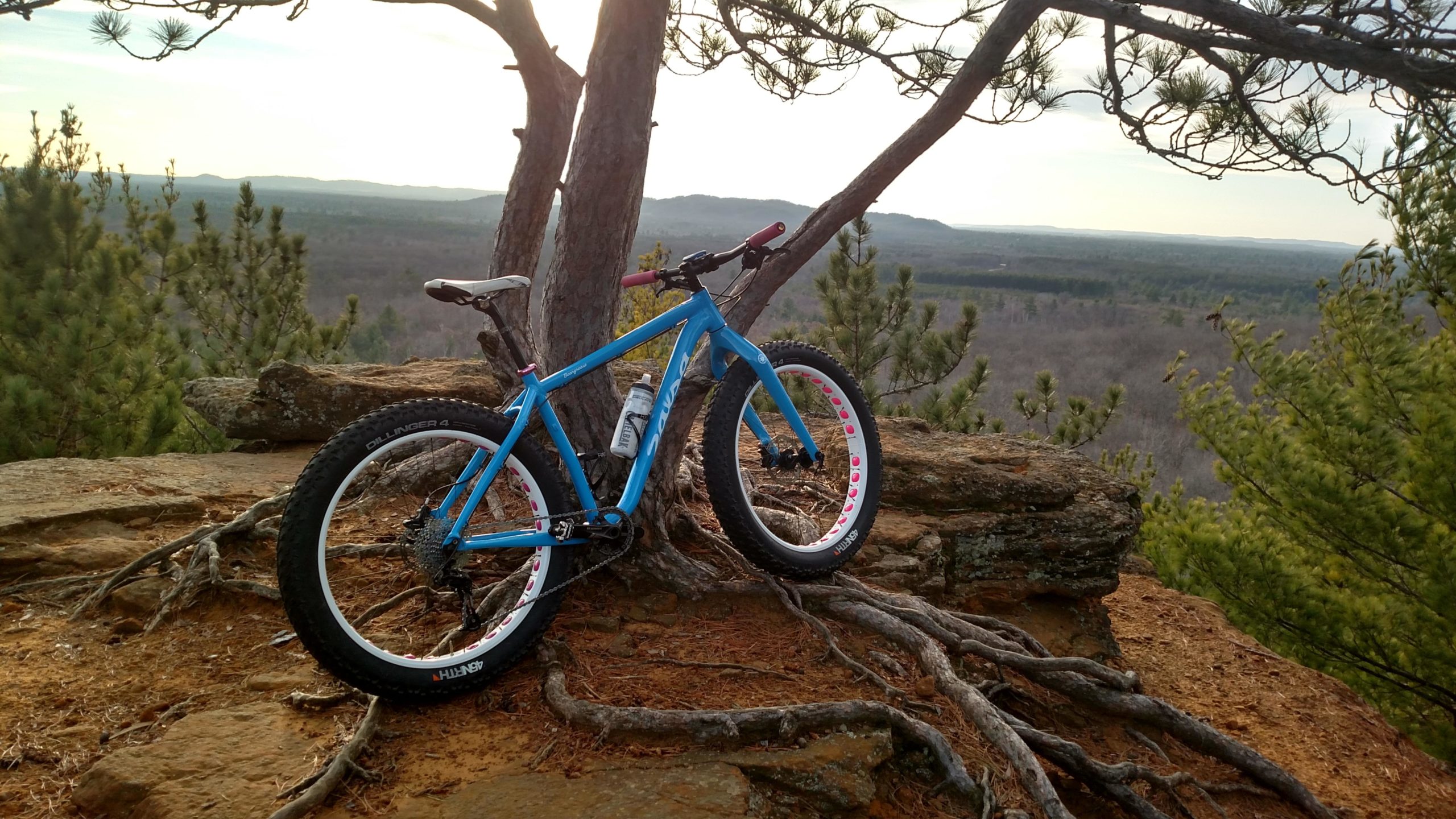 A brightly colored blue fat bike resting against a tree trunk on a rocky outcrop, with a scenic view of rolling hills and trees in the background under a clear sky. Levis Mounds mountain bike trail.