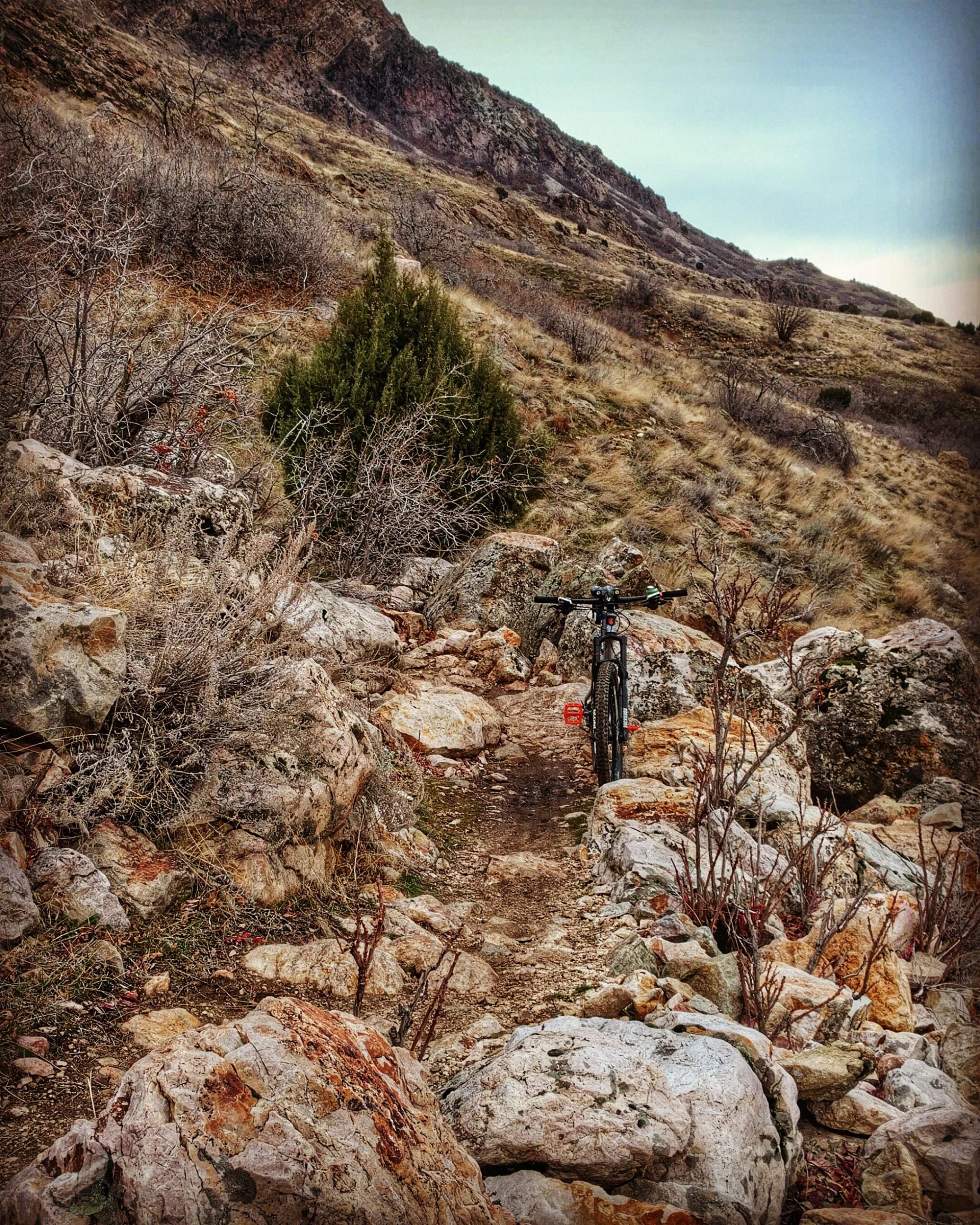 A mountain bike parked on a narrow trail surrounded by rugged rocks and sparse vegetation, with a hilly landscape in the background under a cloudy sky. Bonneville Shoreline Trail - Ogden Section mountain bike trail.