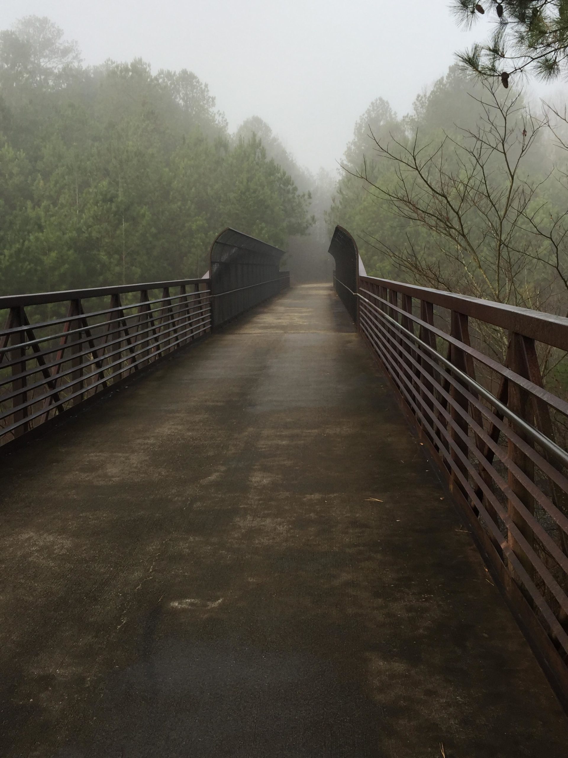 A wooden pedestrian bridge stretches into a foggy landscape, flanked by lush green trees. The surface of the bridge appears damp, and the surrounding atmosphere is tranquil and muted due to the mist. Silver Comet Mtb Side Trails mountain bike trail.