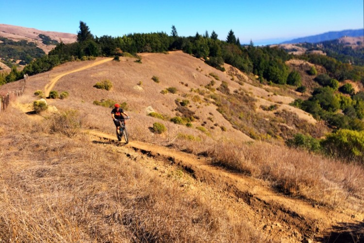A mountain biker rides along a dirt trail on a hillside, surrounded by dry grass and scattered bushes. In the background, rolling hills and trees can be seen under a clear blue sky.