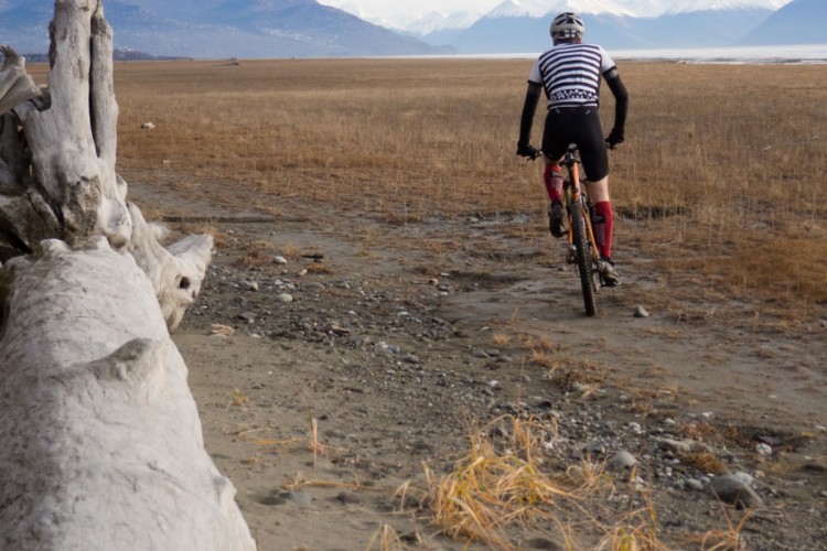 A mountain biker riding along a gravel path with a view of mountains in the background. A large piece of driftwood is in the foreground, and the landscape features dry grass and a distant body of water. The scene conveys a sense of adventure in a natural setting.