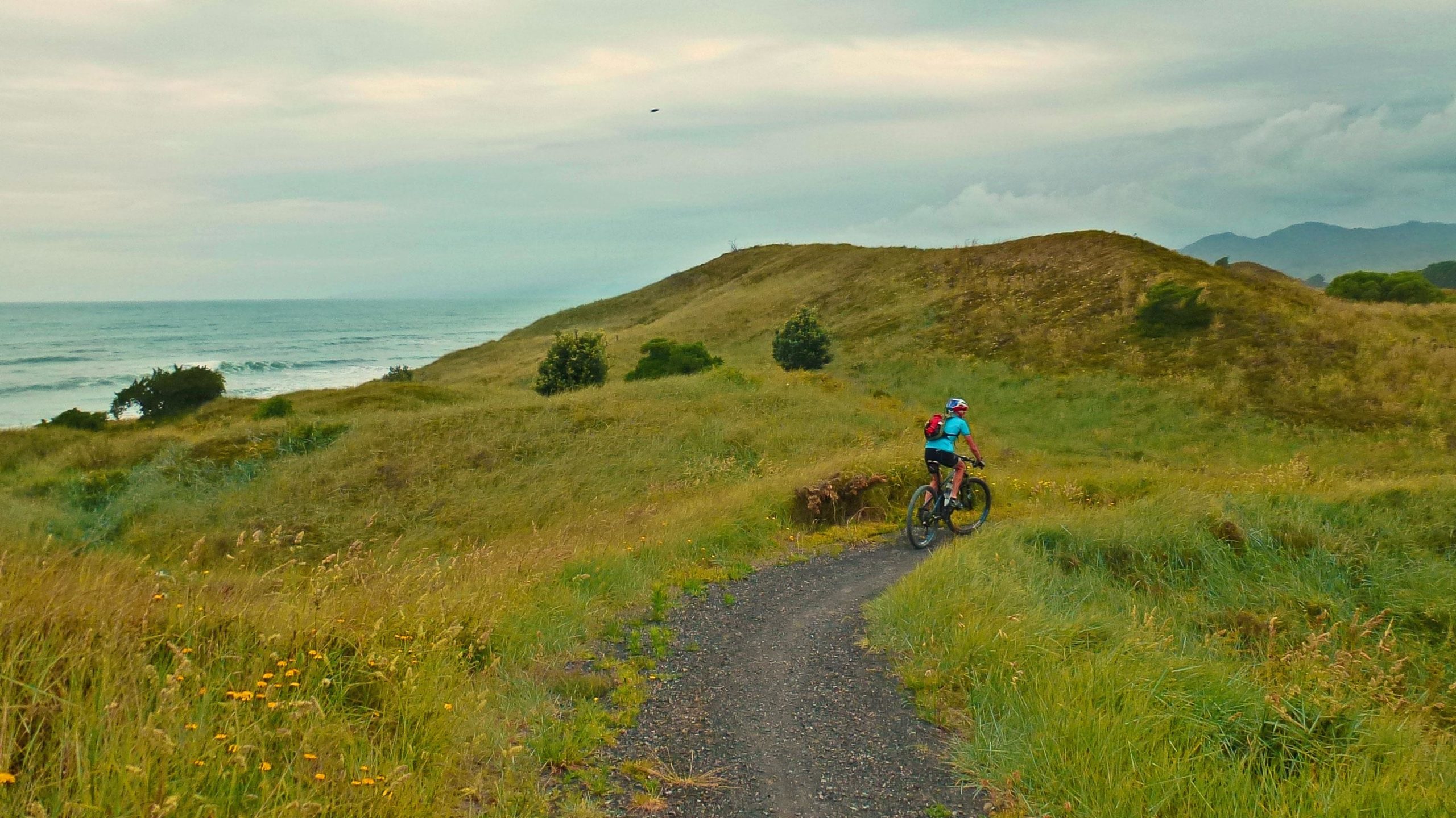 A person riding a mountain bike on a gravel path through tall grass, with hills and a view of the ocean in the background under a cloudy sky. Dunes Trail mountain bike trail.