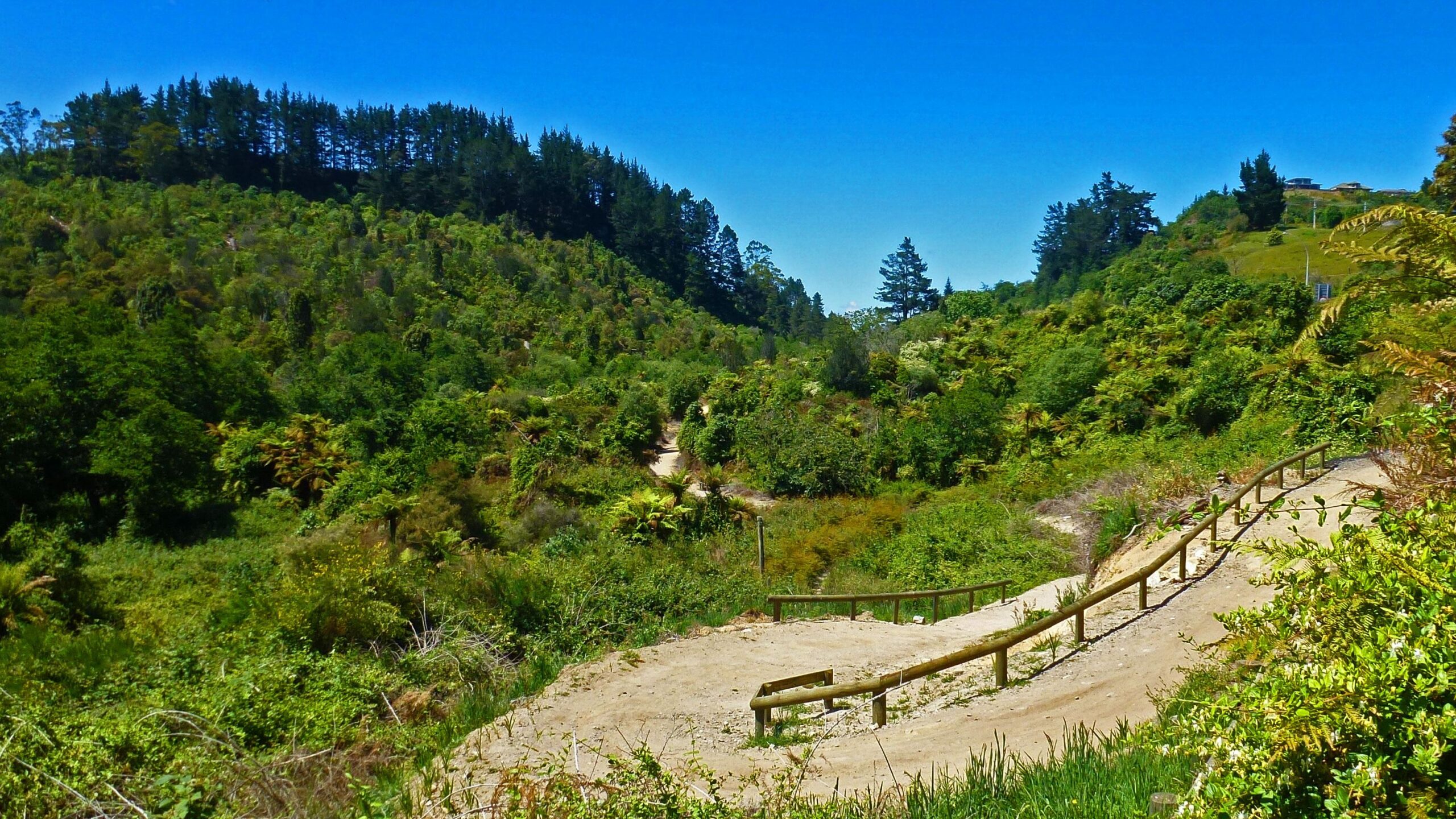 A scenic landscape featuring a winding dirt path surrounded by lush greenery and trees under a clear blue sky. The view captures a natural setting with dense vegetation, hills in the background, and a wooden railing along the path. Hemo Gorge Trail mountain bike trail.
