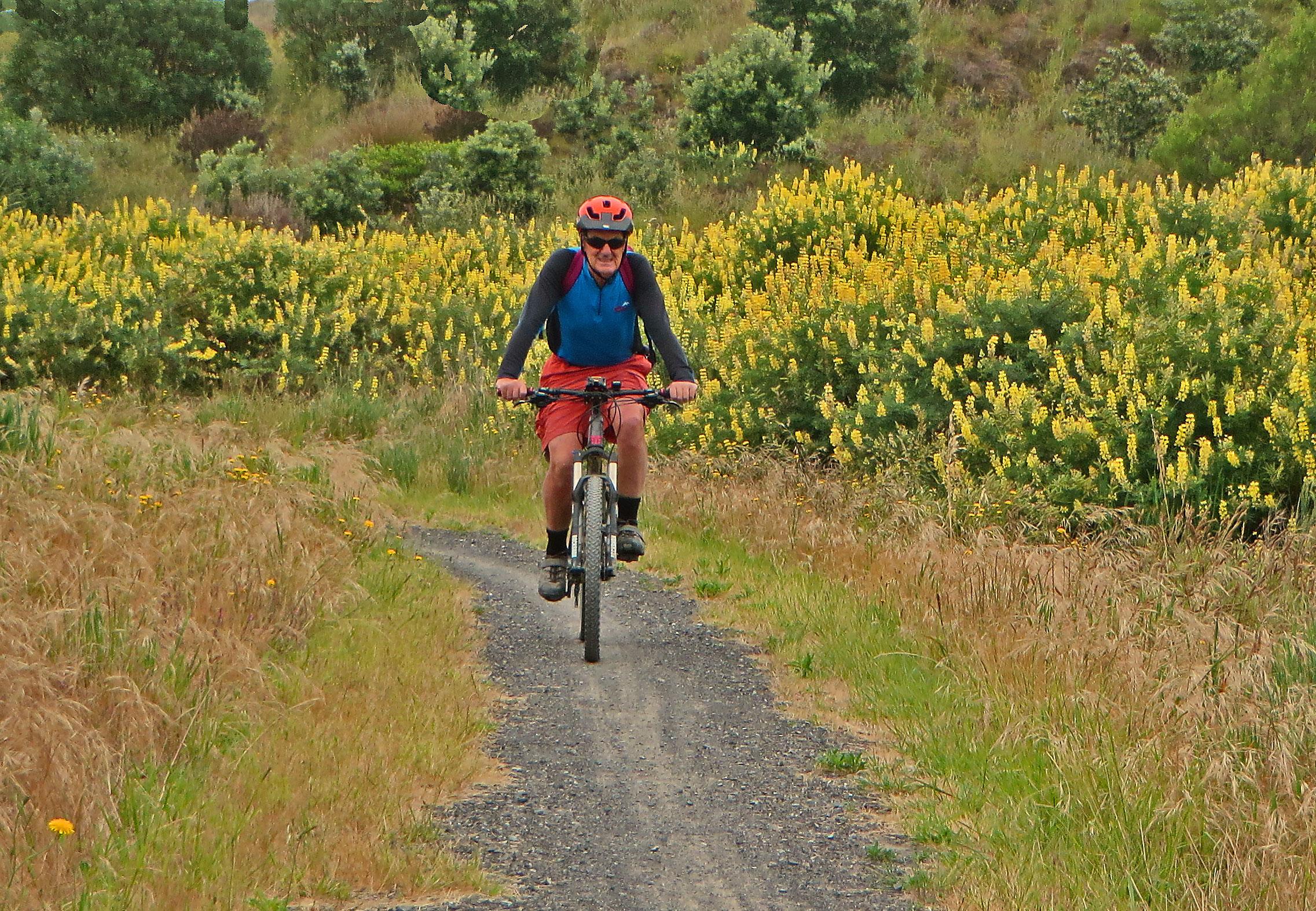 A person riding a mountain bike along a gravel path surrounded by lush greenery and flowering yellow plants. The cyclist is wearing a helmet, sunglasses, and a colorful outfit, smiling as they navigate the trail. Dunes Trail mountain bike trail.
