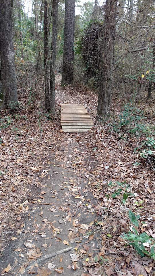 A narrow trail winding through a forest with leaf-covered ground, leading to a small wooden footbridge. Surrounding trees are bare or sparsely leafed, indicating a late autumn or early winter setting. Bringle Lake Mountain Bike Trail System mountain bike trail.