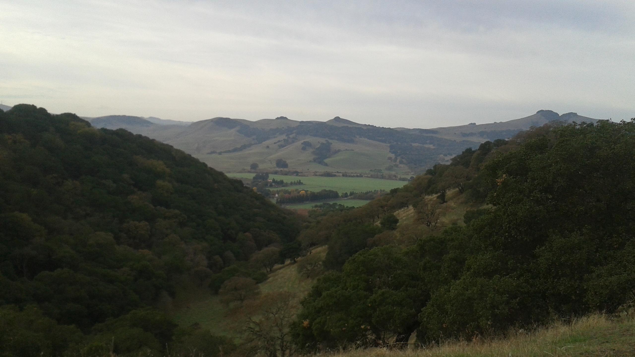A serene landscape view featuring rolling hills and valleys, with a mix of greenery and farmland under a cloudy sky. The foreground includes trees and vegetation, while the background showcases distant mountains and fields, creating a tranquil and picturesque rural scene. Rockville Park mountain bike trail.