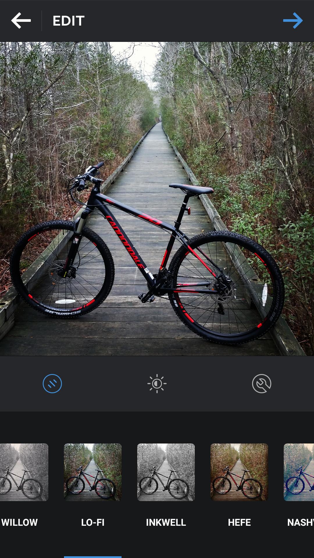 Cannondale Trail SL 29 1: A mountain bike is parked on a wooden boardwalk surrounded by trees and greenery, leading into the distance. The scene is slightly overcast, creating a calm and serene atmosphere.