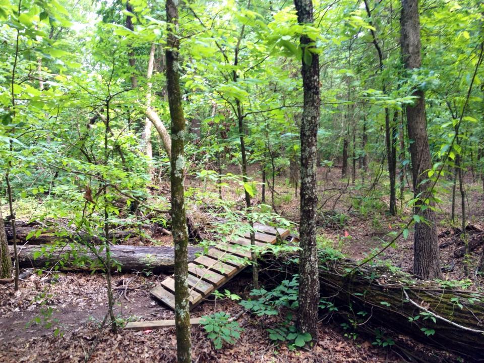 A wooded area with dense green foliage, featuring a wooden bridge that crosses over a fallen log. The scene is tranquil and natural, with various shades of green from the leaves and trees surrounding the path. Bringle Lake Mountain Bike Trail System mountain bike trail.