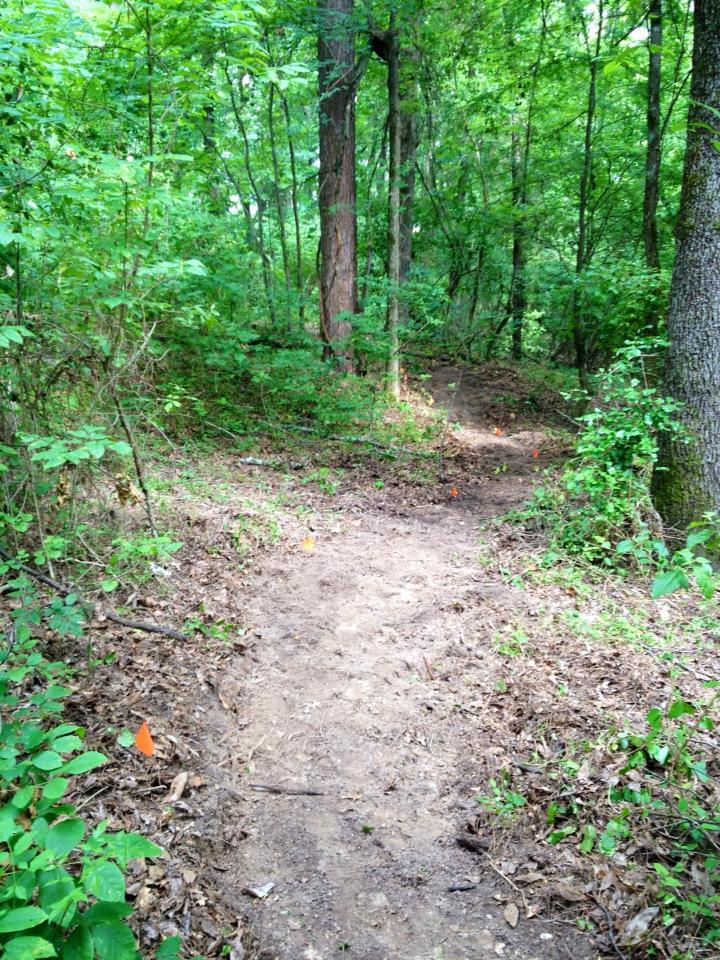 A winding dirt path through a lush green forest, surrounded by trees and dense foliage. Small orange flags mark the trail, guiding hikers along the path. Bringle Lake Mountain Bike Trail System mountain bike trail.