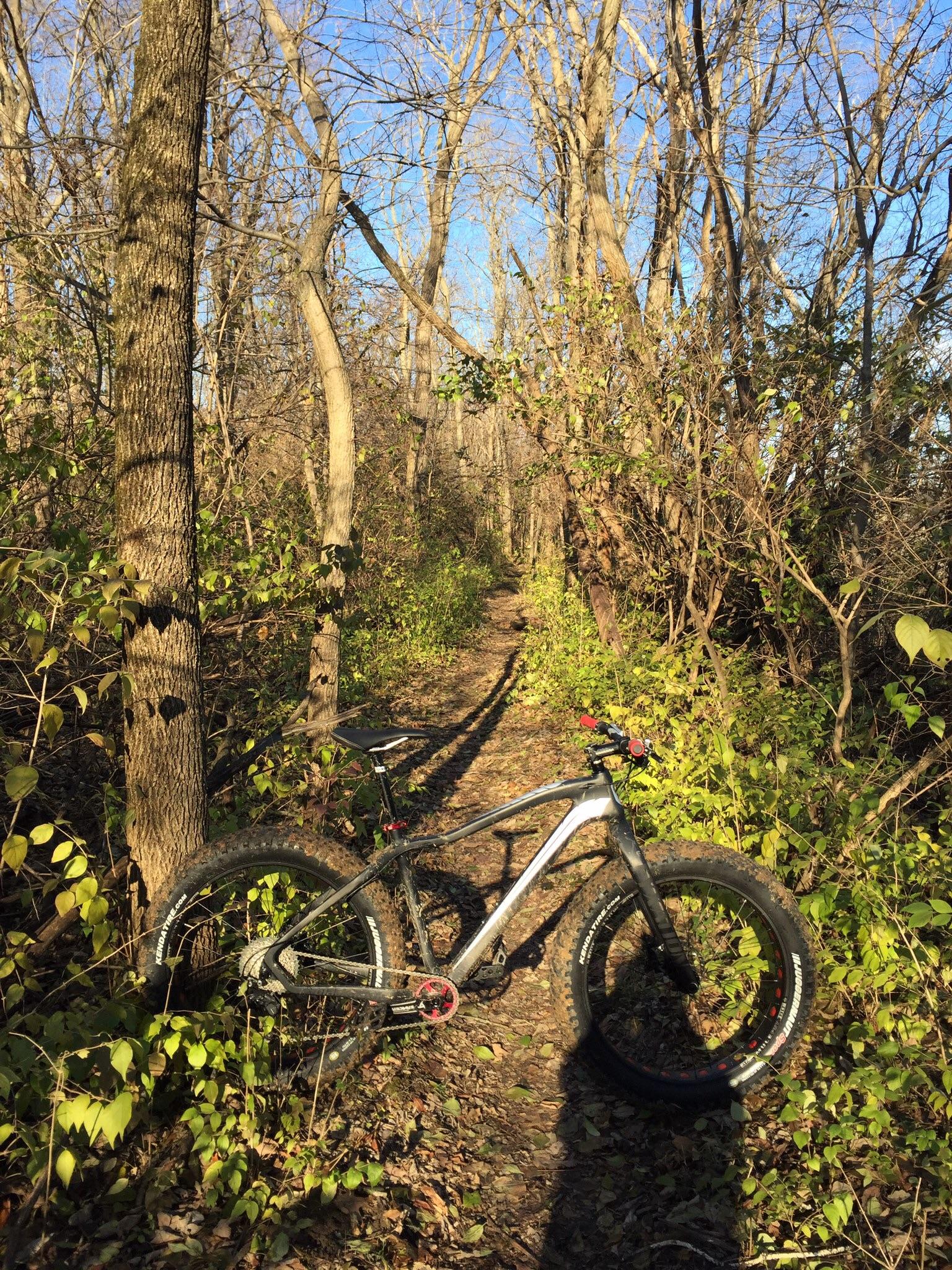 Fyxation Fyxation Blackhawk: A mountain bike resting on a narrow trail surrounded by trees and shrubs, with a clear blue sky above. Sunlight filters through the branches, illuminating the leaf-strewn path.