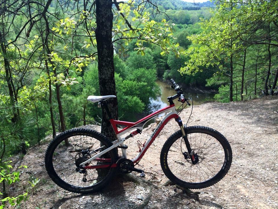 Specialized Camber Comp 29: A mountain bike leaning against a tree on a gravel path overlooking a lush green landscape with a river in the background.