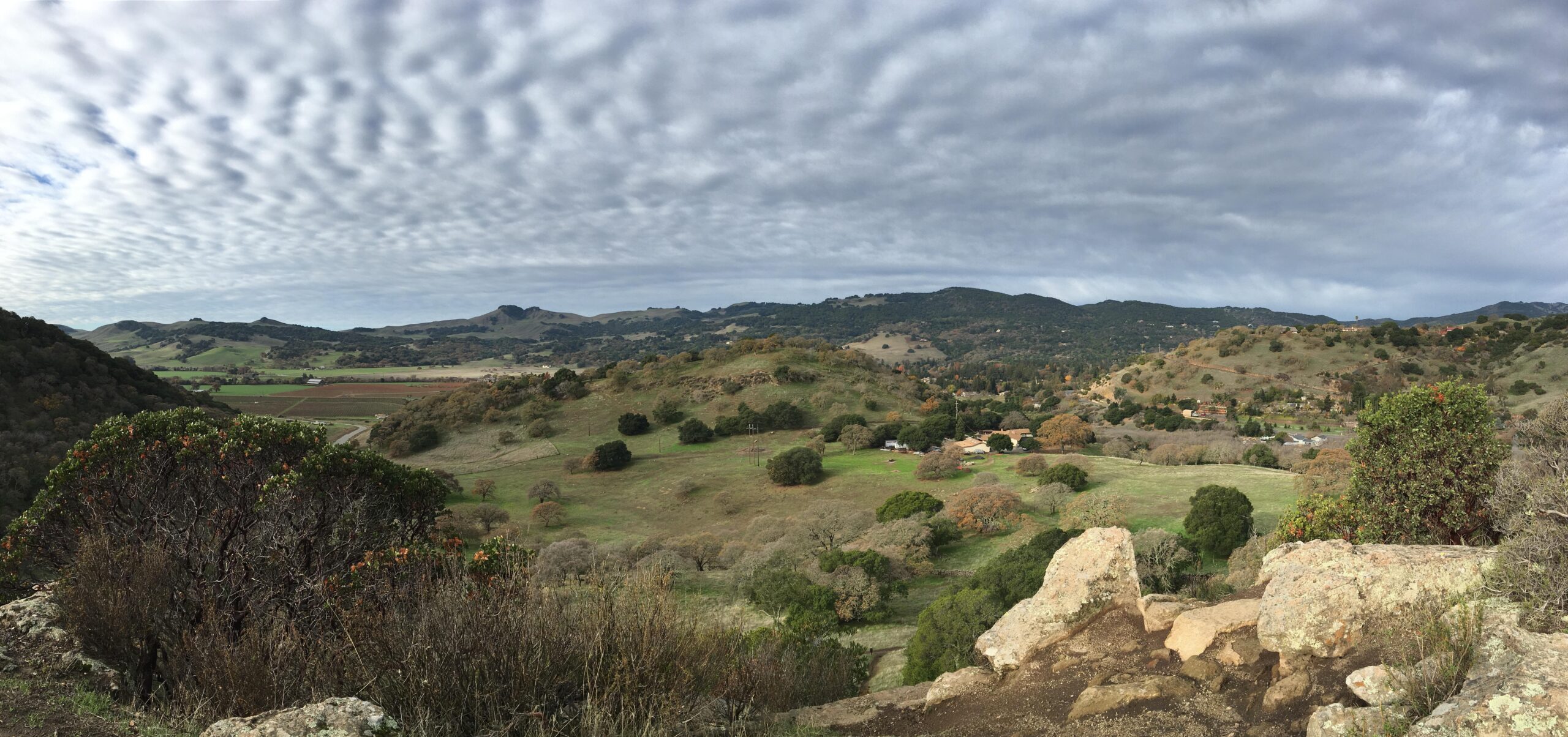 A panoramic view of rolling hills covered in green grass and dotted with trees under a cloudy sky. The landscape features a blend of hills, valleys, and a small cluster of buildings in the distance, showcasing a serene, natural setting. Rockville Park mountain bike trail.