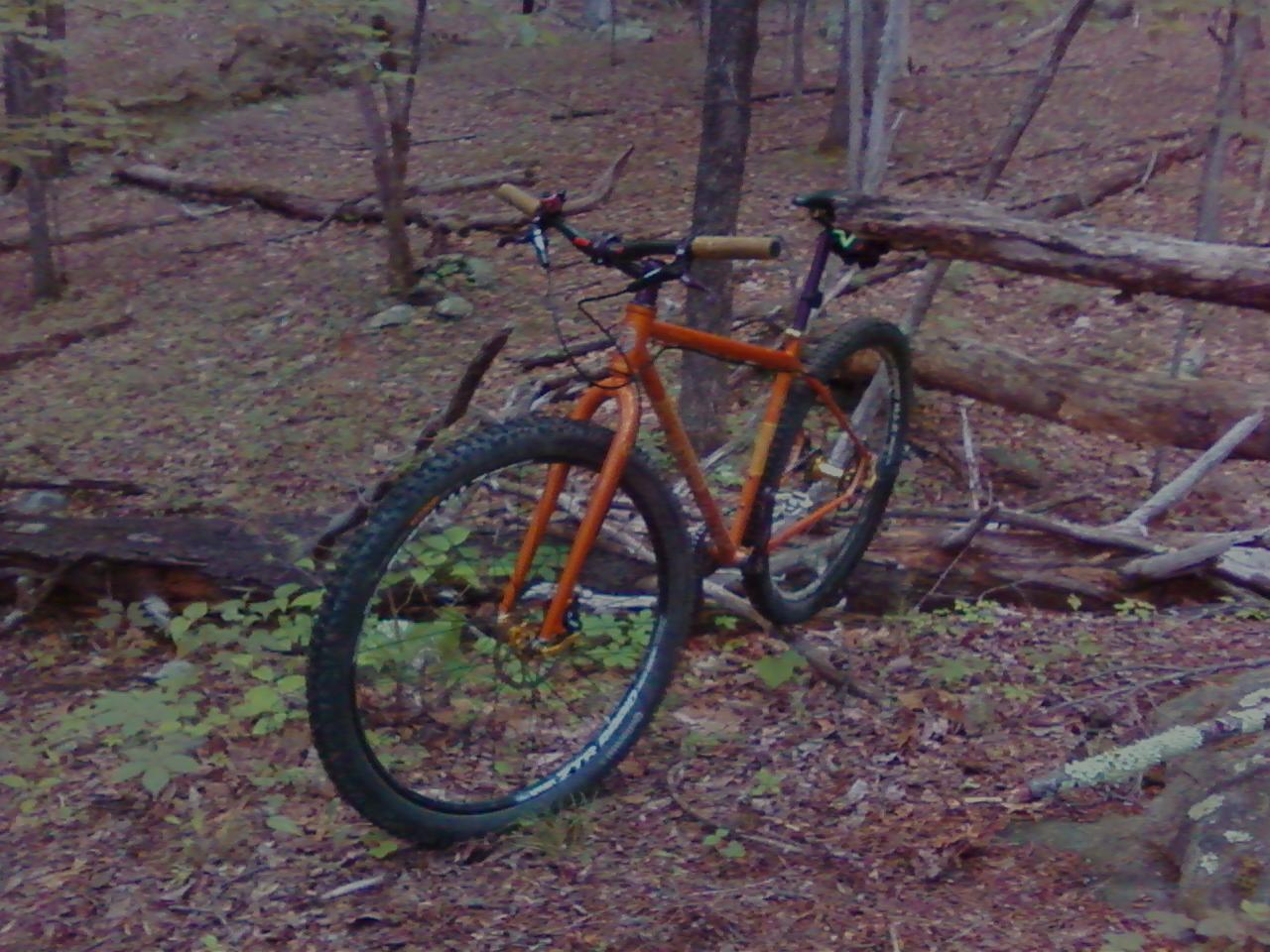 An orange mountain bike with thick tires is leaning against a fallen log in a wooded area, surrounded by brown leaves and green underbrush. The background features trees and more fallen branches, creating a natural outdoor setting. Carvin's Cove Trail system mountain bike trail.