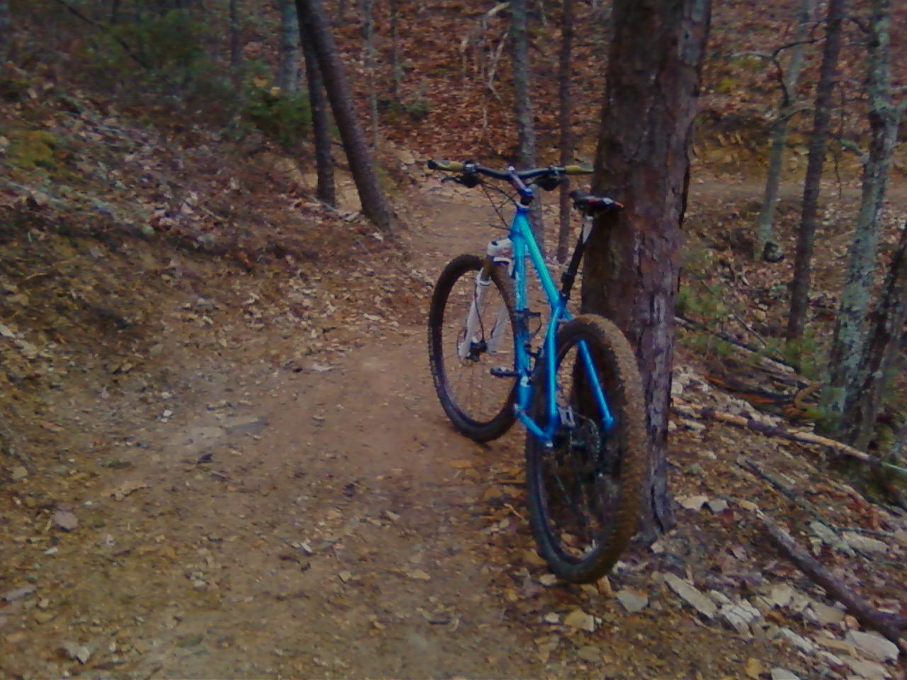 A blue mountain bike resting against a tree on a dirt trail surrounded by trees and fallen leaves. Carvin's Cove Trail system mountain bike trail.