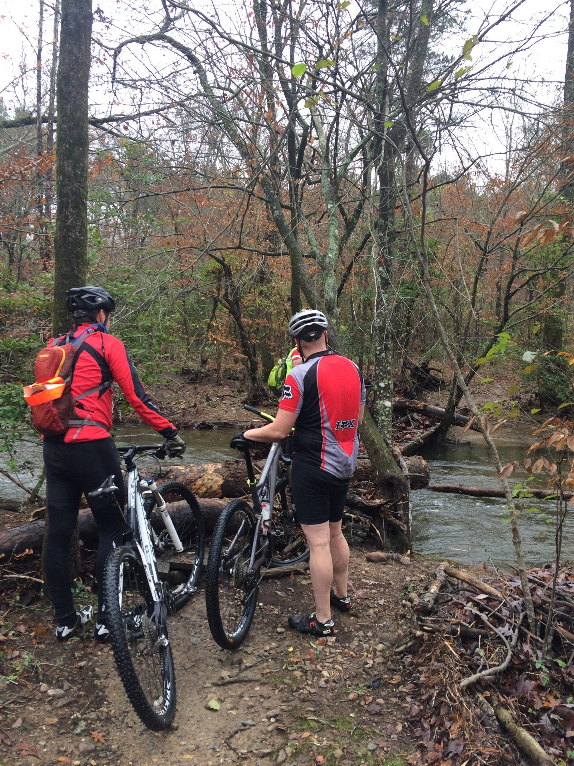Two mountain bikers, one wearing a red jersey and the other in a black and red jersey, stand by a creek in a forested area. They are observing the surrounding nature, with trees showing early signs of autumn. Their bikes are parked beside them, and the scene conveys a sense of adventure in the outdoors. Cedar Glades Trail mountain bike trail.