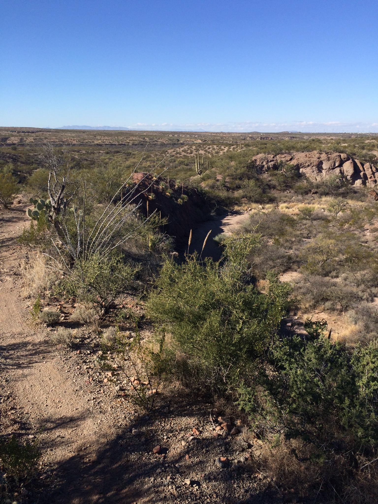 A scenic view of a desert landscape featuring rolling hills, sparse vegetation, and cacti under a clear blue sky. The foreground includes a dirt path winding through the brush, while distant mountains can be seen on the horizon. Arizona Trail: Cienega Corridor mountain bike trail.