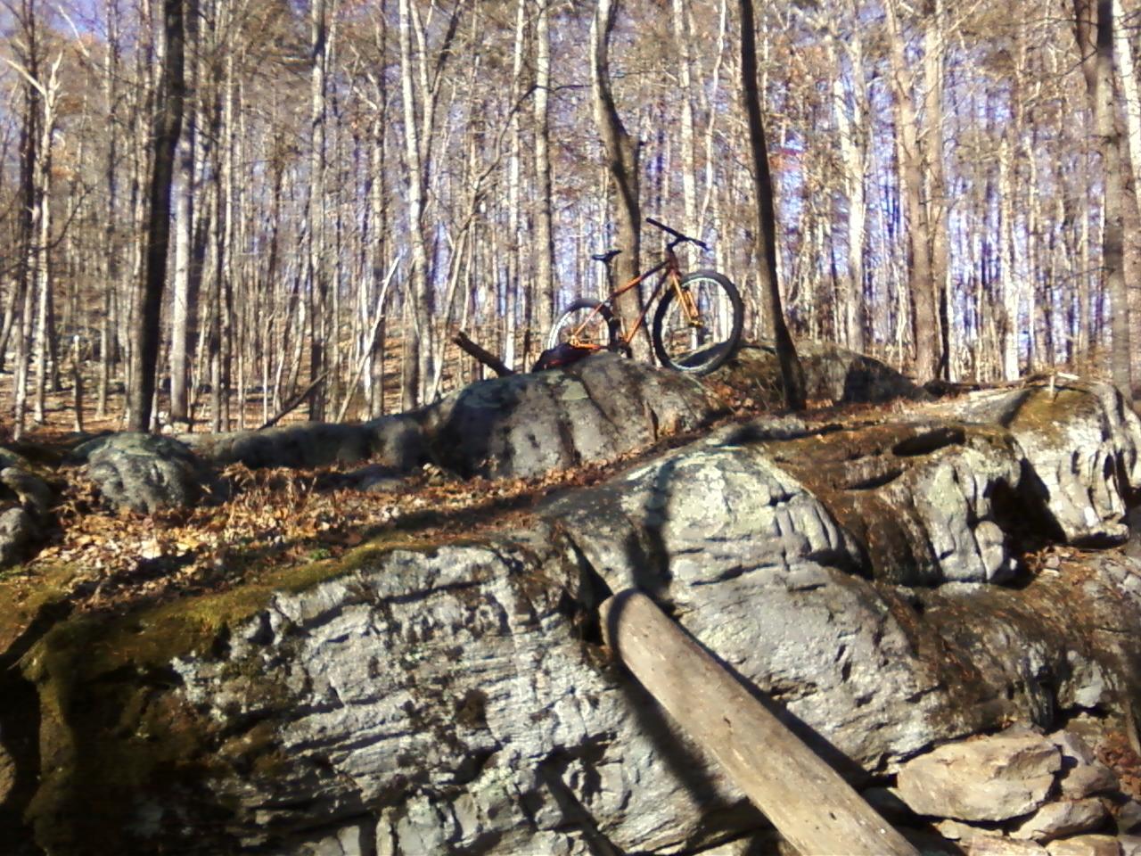 A mountain bike resting on a rocky outcrop in a wooded area with bare trees and scattered leaves. The scene is lit by natural light, highlighting the textures of the rocks and the bike. Carvin's Cove Trail system mountain bike trail.