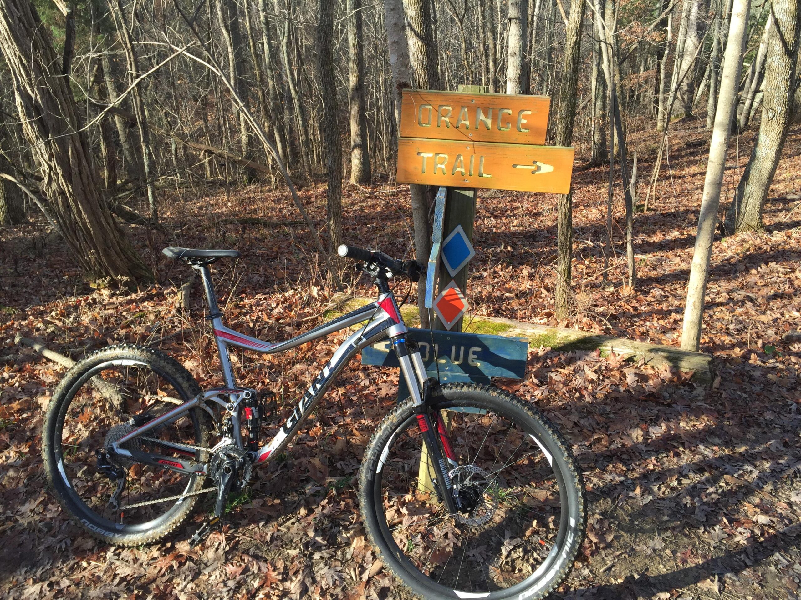 A mountain bike rests on the forest floor next to a wooden trail sign indicating the directions for the Orange and Blue trails, surrounded by fallen leaves and trees. Skullbuster mountain bike trail.