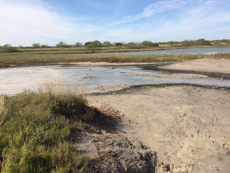 A serene landscape featuring a sandy shoreline bordered by grassy areas and a calm body of water. The scene captures the natural beauty of the environment under a clear blue sky with scattered clouds. Oso Creek Park mountain bike trail.