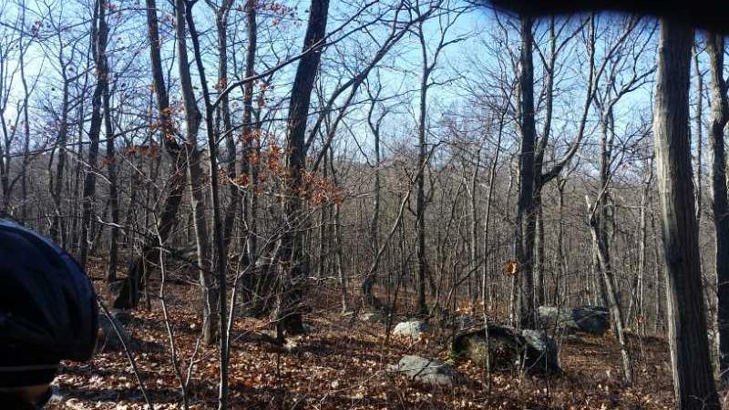 A scenic view of a forest in late autumn, featuring bare trees and a few remaining leaves. The ground is covered with fallen leaves and scattered rocks, under a clear blue sky. A portion of a person's shoulder and bike helmet is visible in the foreground. Allamuchy State Park-North mountain bike trail.