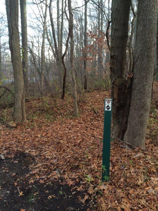 A green trail marker stands amidst a wooded area covered in autumn leaves. The trees are bare and the scene is serene, hinting at a path leading through the forest. Wolfes Pond park mountain bike trail.