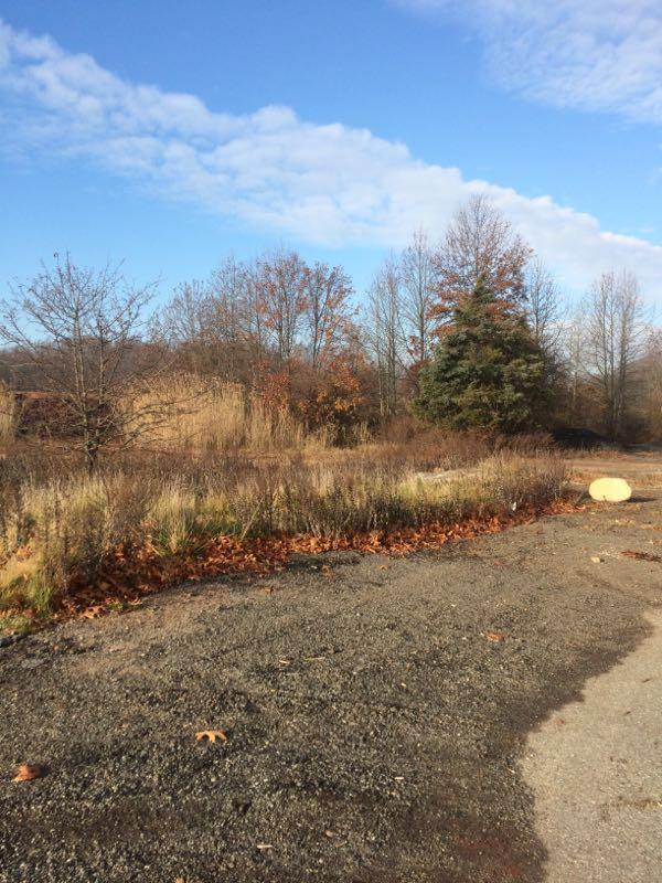 A scenic view of a rural landscape featuring sparse trees, some with autumn foliage, and a clear blue sky with scattered clouds. A gravel pathway runs through the foreground, lined with fallen leaves. The background includes dry grasses and a mix of vegetation, creating a serene outdoor atmosphere. Long Pond mountain bike trail.