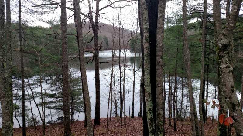 A serene view of a tranquil lake surrounded by trees, reflecting the overcast sky and distant hills. The foreground features tall, bare tree trunks and a carpet of fallen leaves, while lush green foliage is visible nearby. DuPont State Forest mountain bike trail.