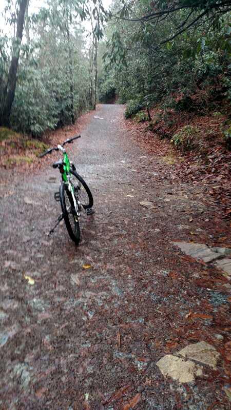 A green mountain bike is leaning against a trail in a wooded area, with a gravel surface covered in fallen leaves and small stones. The path extends into the distance, surrounded by dense trees and foliage, suggesting a tranquil outdoor setting ideal for cycling or hiking. DuPont State Forest mountain bike trail.