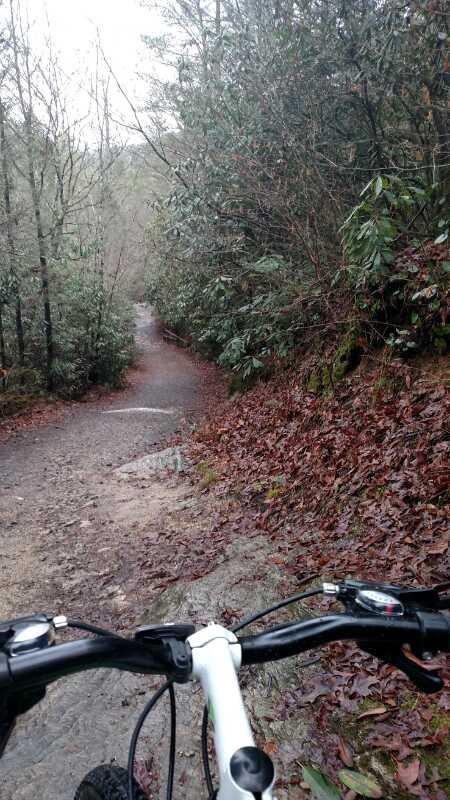 A view of a winding dirt path through a forest, taken from the perspective of a mountain bike's handlebars. The trail is lined with lush, green foliage and fallen leaves, suggesting a wet, wooded environment. The path gently curves into the distance, leading deeper into the landscape. DuPont State Forest mountain bike trail.