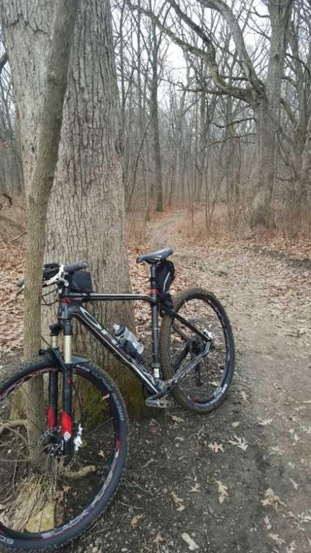 A mountain bike leaning against a large tree in a wooded area, with a dirt path visible in the background among fallen leaves and bare trees, indicating early spring or late autumn. Palos Forest Preserve mountain bike trail.
