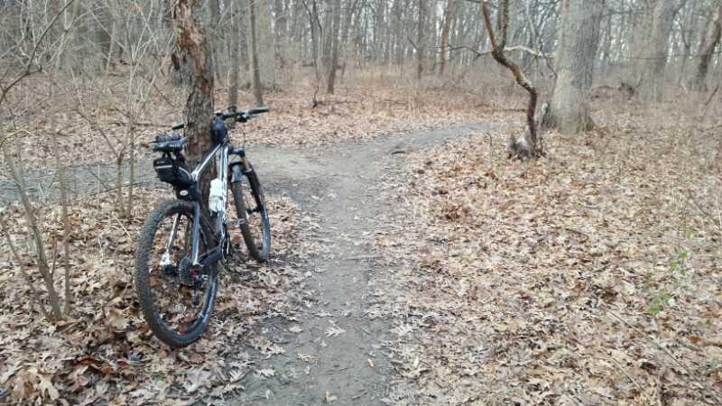 A mountain bike leaned against a tree along a dirt path in a wooded area, surrounded by fallen leaves and bare trees in early spring. The trail diverges ahead, leading into the forest. Palos Forest Preserve mountain bike trail.
